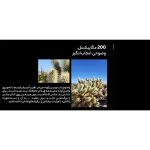قیمت گوشی سامسونگ s23 ultra ویتنام 512 گیگابایت